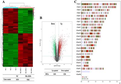 Transcriptome profiling of A549 non-small cell lung cancer cells in response to Trichinella spiralis muscle larvae excretory/secretory products